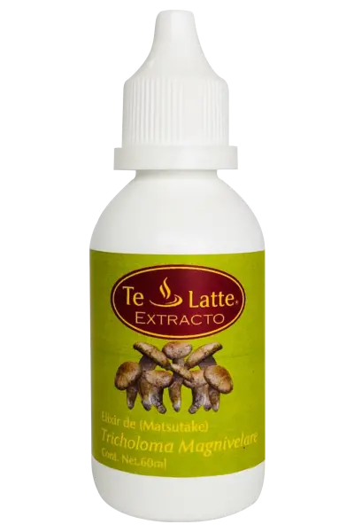 imagen Elixir de Matsutake